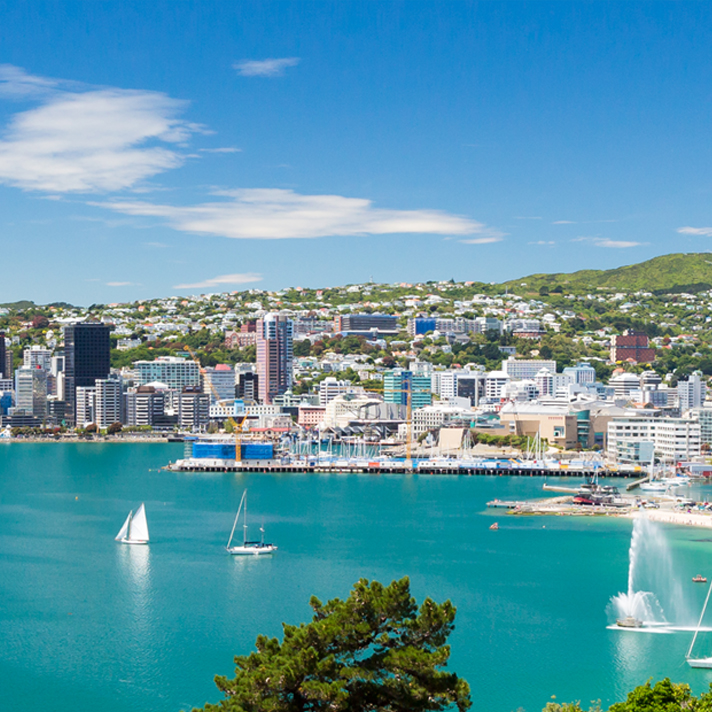 New Zealand Study visa consultants